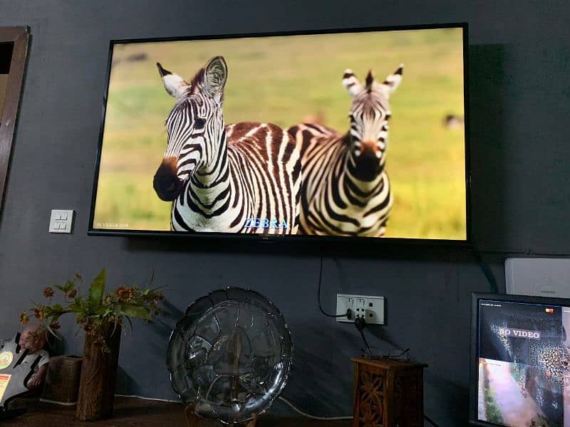 Tcl led 50" 4k android original Full option neat clean use (call me) 0