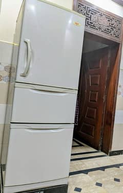 Delite freezer