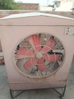 coolar for sale