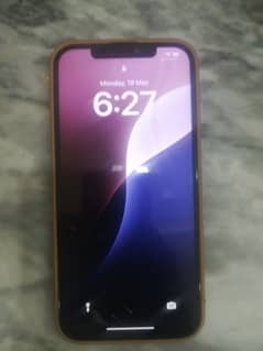 12 Pro max