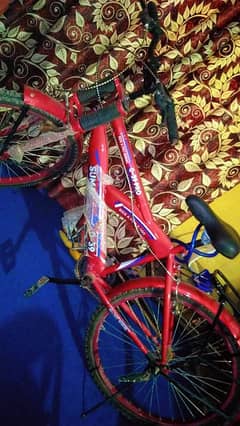 Good condition cycle urgent sell