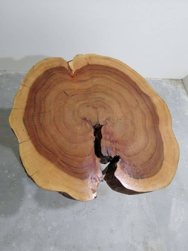 Center Table / Coffee Table / Side Table /Loc Table 2