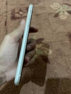 iPhone 11 Pta Approved