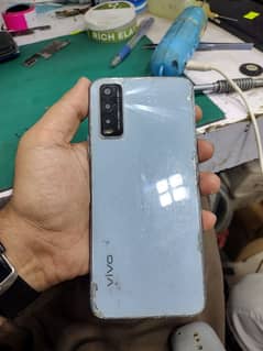 vivo