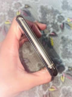 Xs