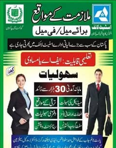 Government Job contract 2 years