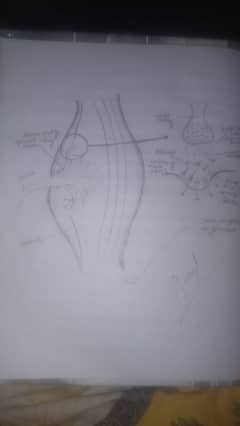 assigment