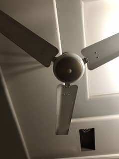 Ceiling