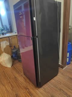 Refrigerator Fridge Dawlance