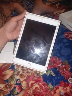 iPad mini 5 panel broken but working