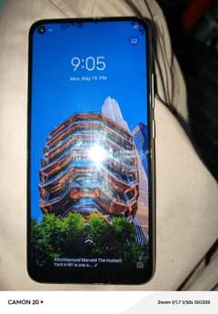 vivo