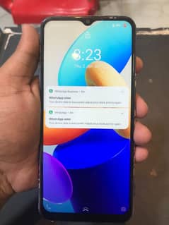 vivo
