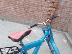 cycle