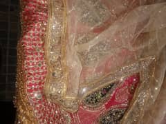 mehndi lehnga with choli dupta