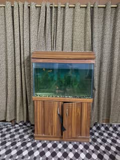 Fish aquarium