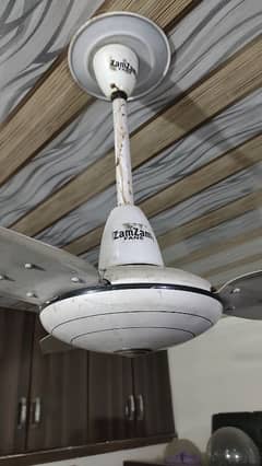 Zam