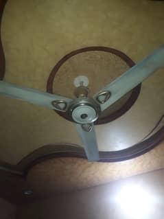 2 fan ha ok ha sab kuch 9000 ka ak mela ga