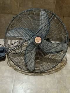 Wall