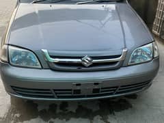 Suzuki cultus