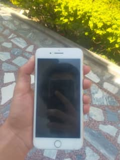 8 plus PTA approved