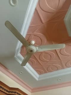 climax fan
