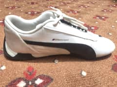 Puma
