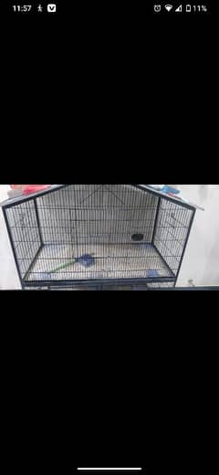 birds Cage