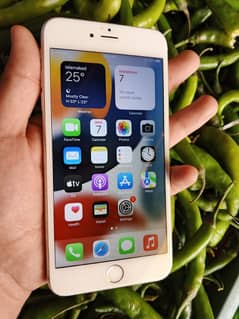IPHONE 6s plus PTA APPROVED