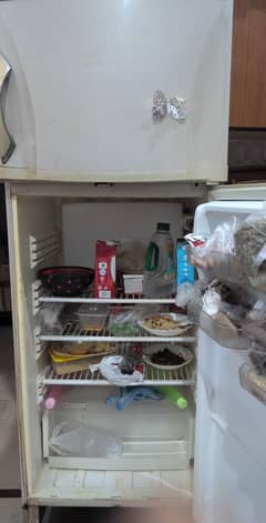 Pell Fridge