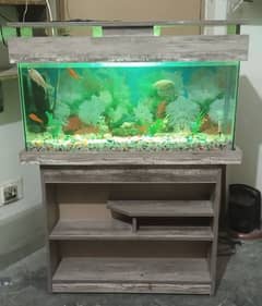 aquarium