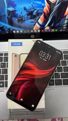 Vivo