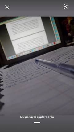 content writer