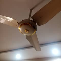 New celling fan 10/10 condition pure 100% copper wiring