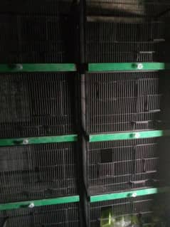 cage