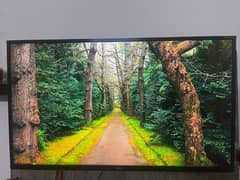 Haier LED 40 Inches