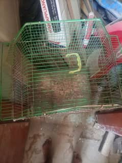 cage big size