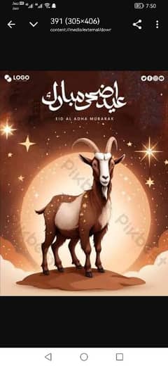profashnal Qasai BAKRA EID QURBANI KA LIYA RABTA KARA