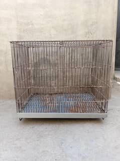 0327-0277654/cage/parrot/love
