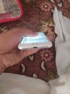 i phone 7 pta aproved