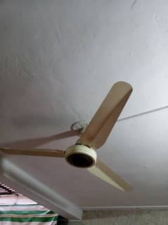 Best quality fan in pure copper wiring | pure copper fan
