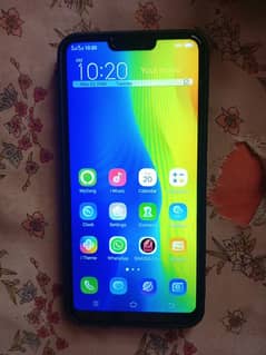 Vivo