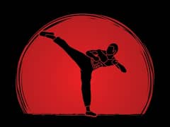 Martial Arts Instructor Available
