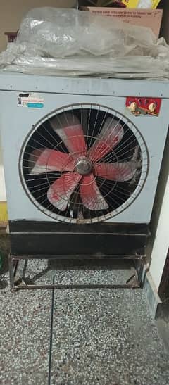 lahori air colar