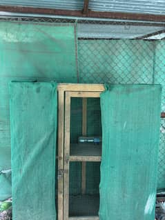 Hen and birds cage