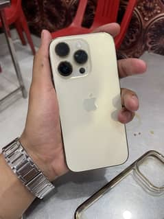 14 pro 256 gb pta