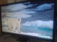 ASUS 24 inch 1080p 60 hz Moniter