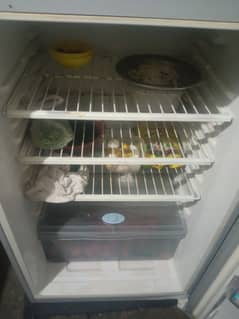 Hair Full size Fridge With digital display