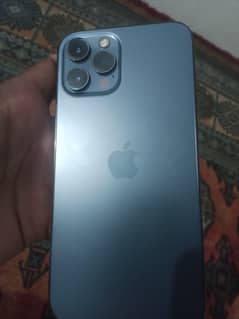 12 promax 256 gb