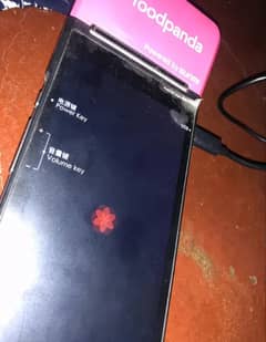 Foodpanda