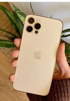 Iphone 12pro ptA approve